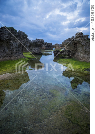 沖永良部島　ウジジ浜　奇岩 40259709