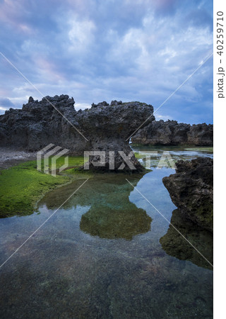 沖永良部島　ウジジ浜　奇岩 40259710