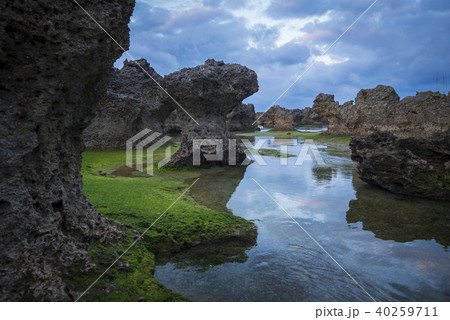沖永良部島　ウジジ浜　奇岩 40259711