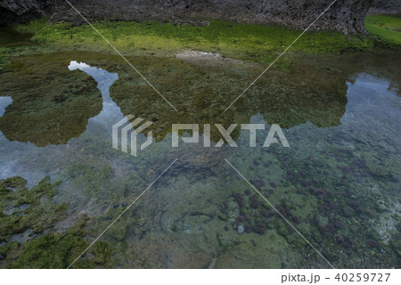 沖永良部島 ウジジ浜 奇岩 沖永良部島 ウジジ浜 奇岩 40259727