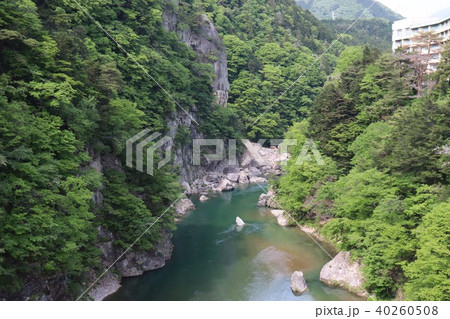 鬼怒楯岩大吊橋から見た鬼怒川渓谷 40260508