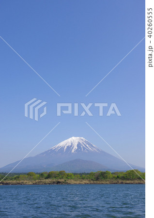 精進湖からの富士山 40260555
