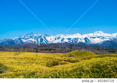 春の知床（知床五胡） 40260719