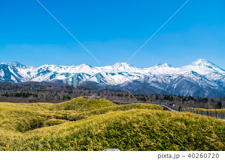 春の知床（知床五胡） 40260720