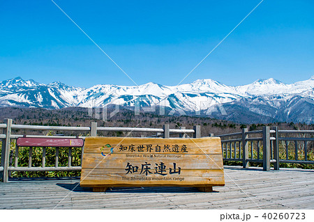 春の知床 知床五湖 40260723