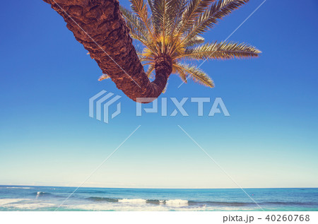 Hawaiian beach Hawaiian beach 40260768