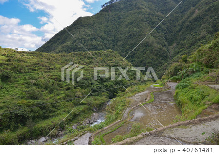 カンブロの棚田 40261481