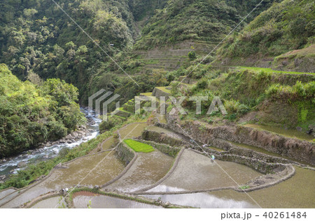 カンブロの棚田 40261484