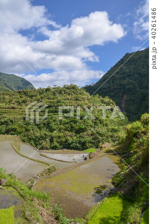 カンブロの棚田 40261486