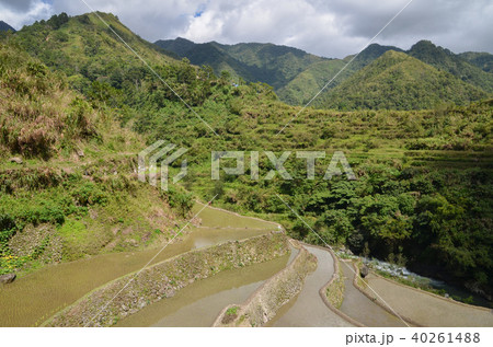 カンブロの棚田 40261488