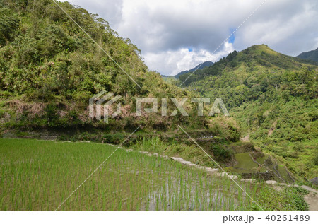 カンブロの棚田 カンブロの棚田 40261489