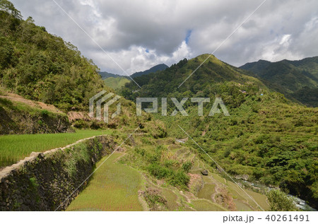 カンブロの棚田 40261491