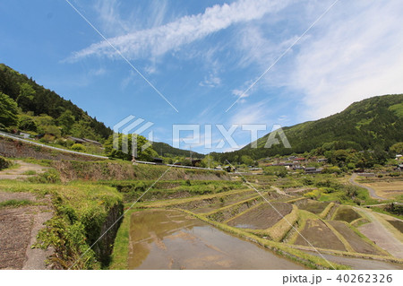 坂折棚田の写真素材