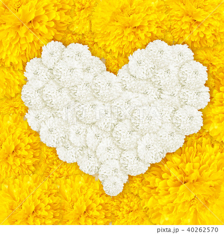 Marigold flowers heart frame 40262570