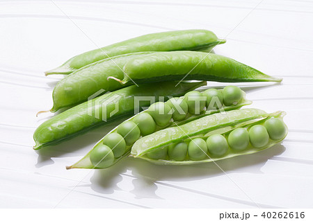 えんどう豆 40262616