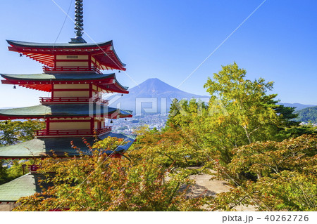富士山と新倉山浅間公園の紅葉、山梨県富士吉田市にて 富士山と新倉山浅間公園の紅葉、山梨県富士吉田市にて 40262726