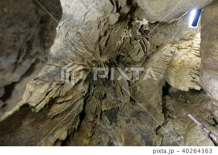 大滝鍾乳洞 40264363