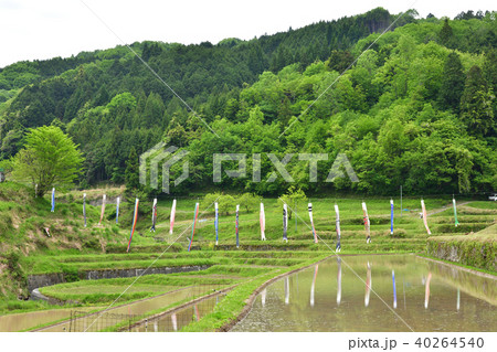 佐用町の棚田の写真素材