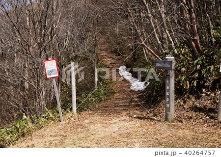 新生坊展望台、毛無山登山道入口 40264757