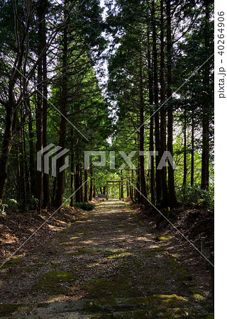寶坂（ほうさか）神社参道 40264906