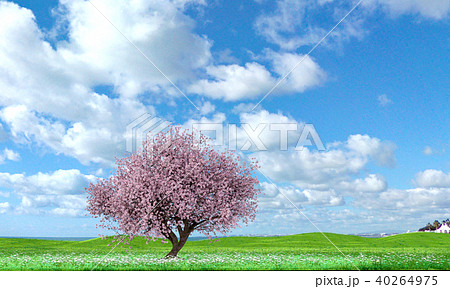 桜のある風景 Perming3dcgイラスト素材のイラスト素材