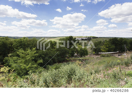 View to a farm building roof and horses. View to a farm building roof and horses. 40266286