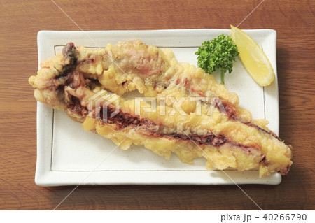 タコの天ぷら タコの天ぷら 40266790