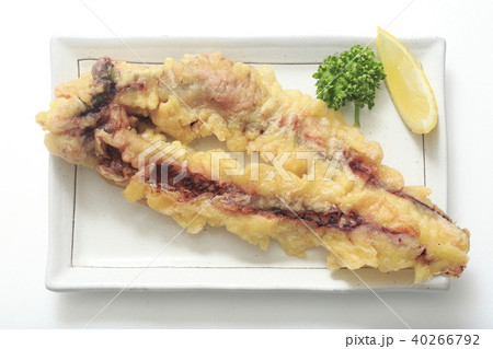 タコの天ぷら 40266792