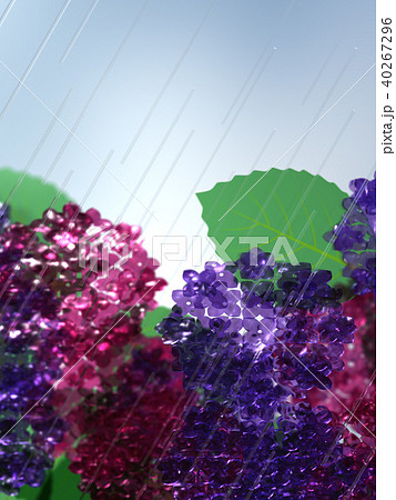 CG　イラスト　梅雨　紫陽花　雨 40267296