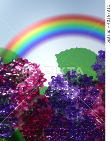 CG　イラスト　梅雨　紫陽花　虹 40267311