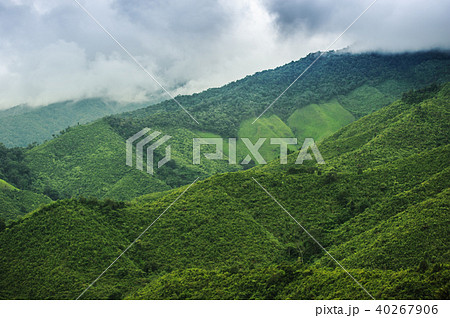 mountains In the province of Nan 40267906