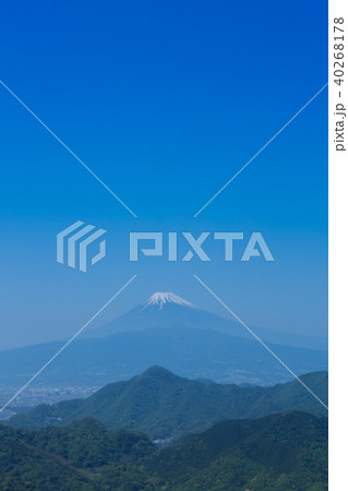 富士山　伊豆より 40268178