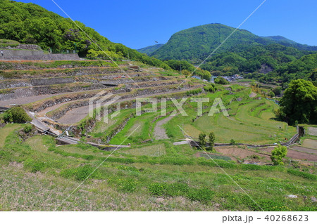 小豆島の中山千枚田の写真素材