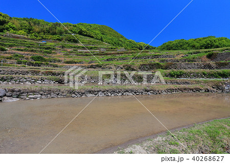 小豆島の中山千枚田 40268627