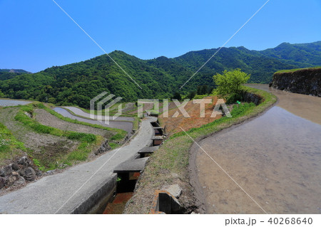 小豆島の中山千枚田 40268640