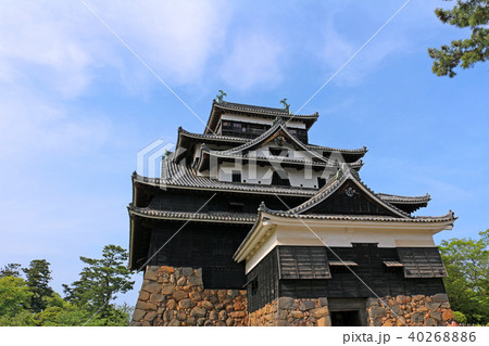 松江城(国宝) 松江城(国宝) 40268886