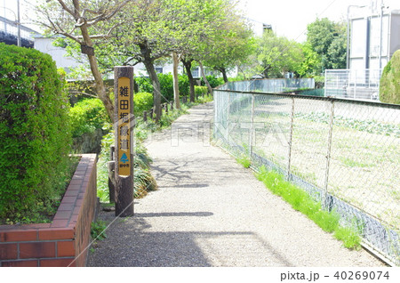 府中市雑田堀緑道 40269074