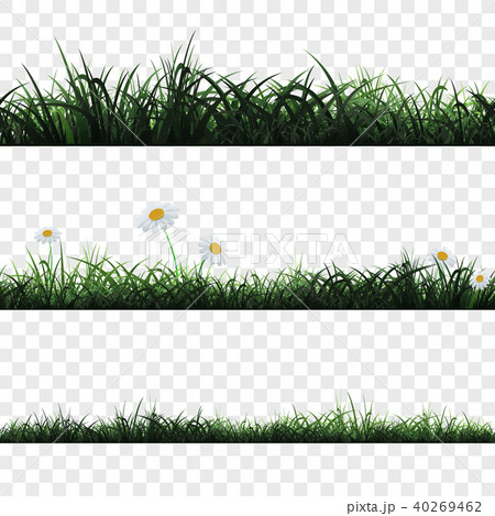 Seamless pattern of grass 40269462