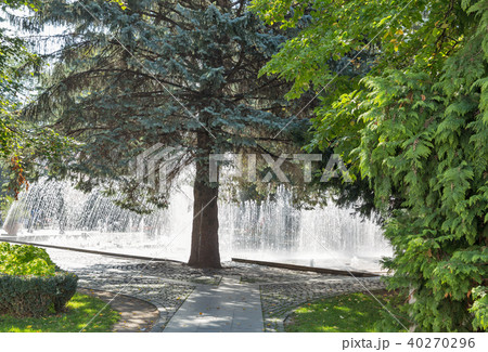 The Singing Fountain in Kosice Old Town, Slovakia. 40270296