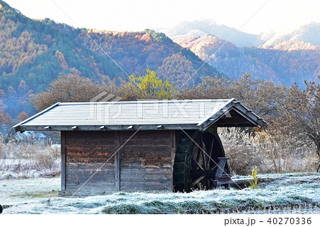 紅葉まっさかり 早朝の開田高原 紅葉まっさかり 早朝の開田高原 40270336