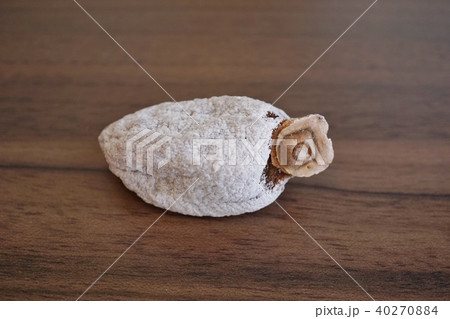 日本、秋、冬、干し柿（Dried Japanese persimmon） 40270884