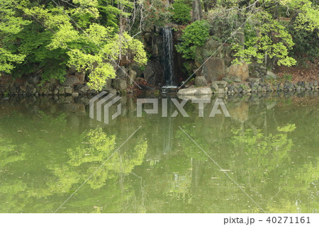 鶴舞公園・竜ヶ池(名古屋市) 鶴舞公園・竜ヶ池(名古屋市) 40271161