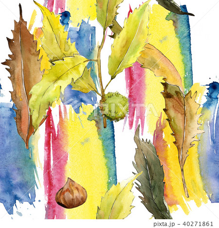 Sweet leaves chestnut in a watercolor style pattern. 40271861