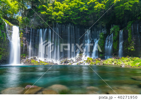 《静岡県》白糸の滝・清流《スローシャッター》 《静岡県》白糸の滝・清流《スローシャッター》 40271950