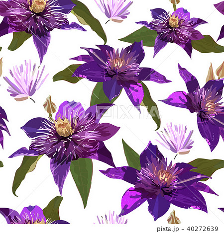 Clematis purple flowers and leaves. Seamless Clematis purple flowers and leaves. Seamless 40272639