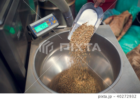 Picture of scoop with non-roasted coffee beans, industrial scales 40272932