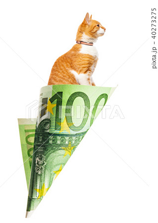 Paper money bag with red cat inside Paper money bag with red cat inside 40273275