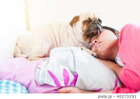 Asian Woman and her puppy pug dog sleep in the bed Asian Woman and her puppy pug dog sleep in the bed 40273291