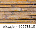 bamboo background 40273315