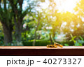 Wedding rings on window in a sunbeam 40273327